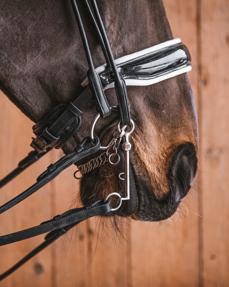 10_37317e1aff-weymouth_bridoon_sweet_iron2-full