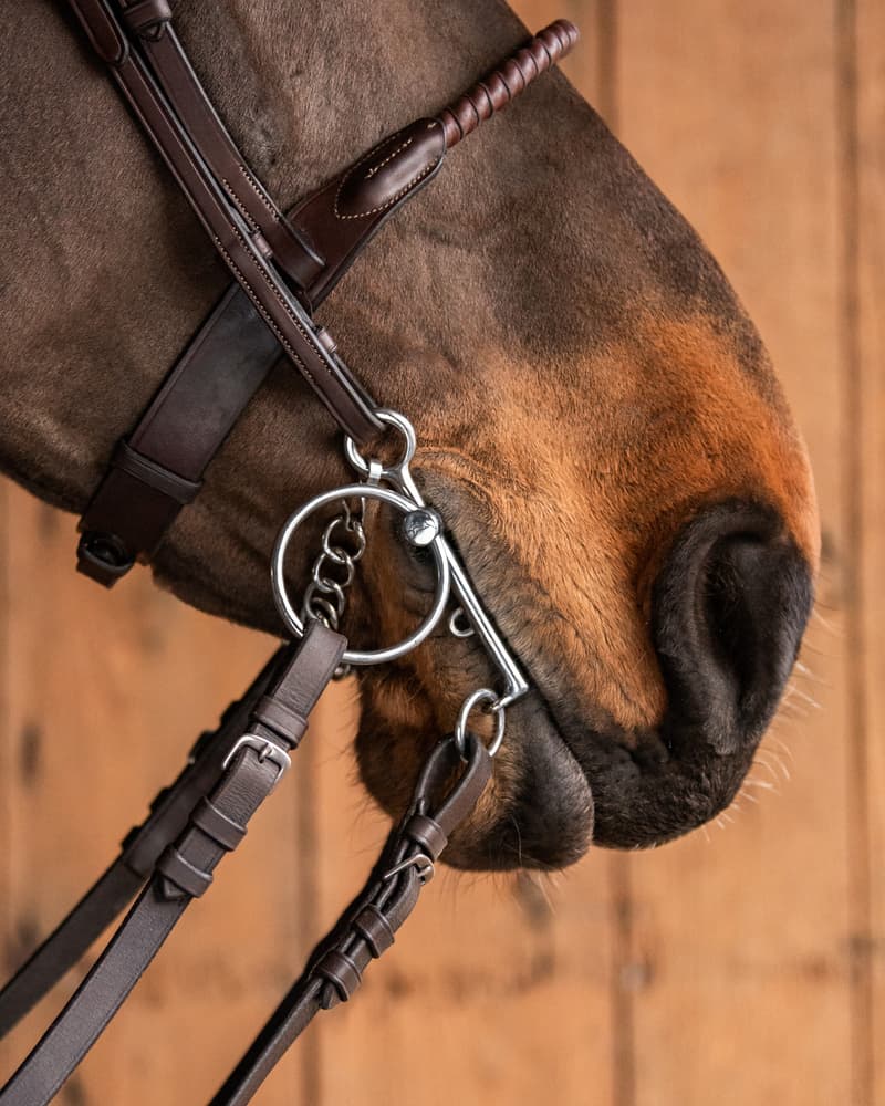 110_0a172f1811-show-pelhalm-sweetiron-11078-full