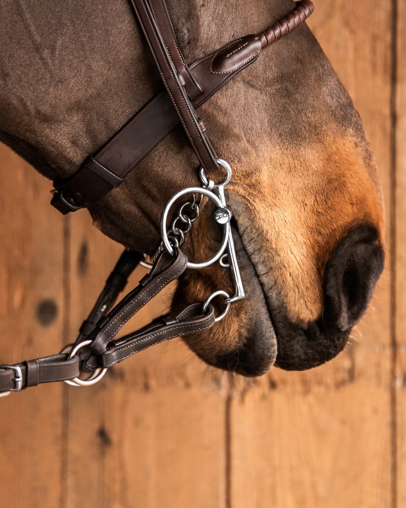 110_3b1a00ad75-show-pelhalm-sweetiron-31079-full