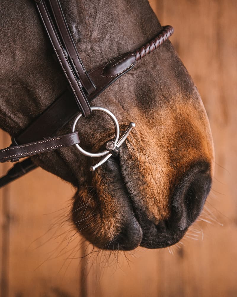 1152_baf1ba6421-babyfulmer_sweet_iron9343-full