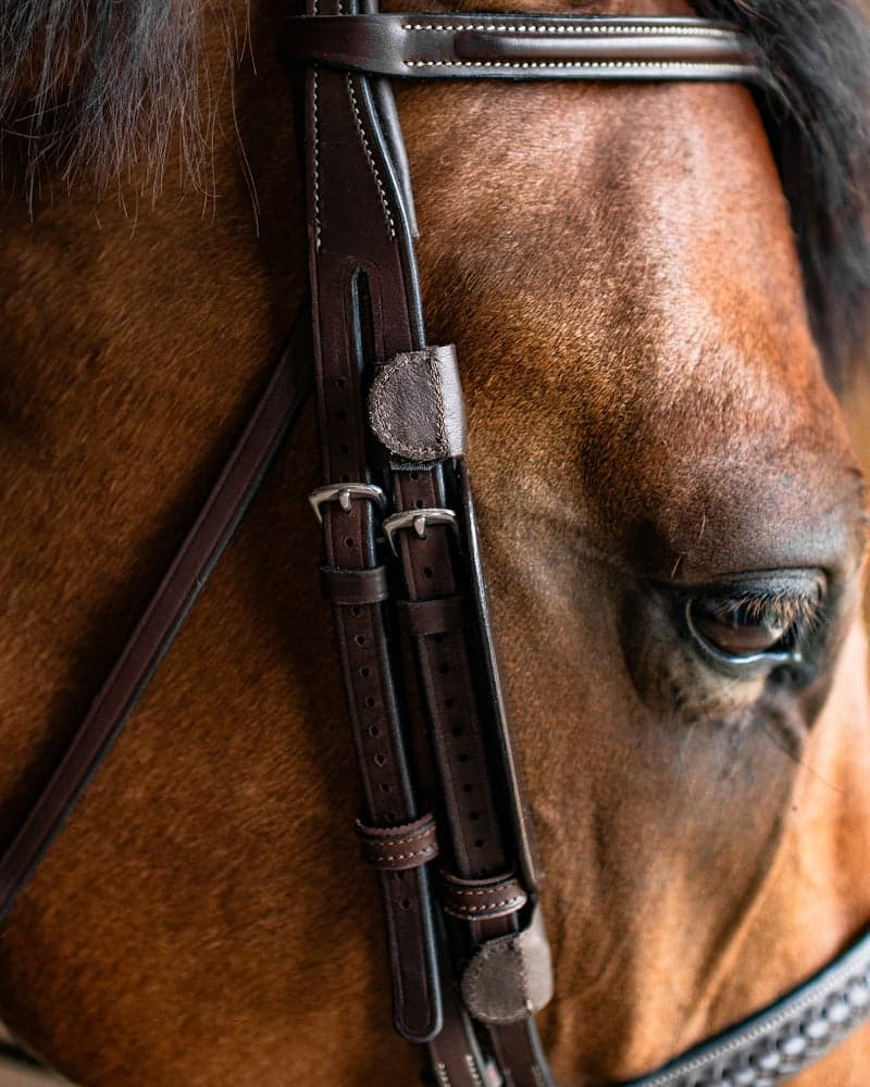 1188_922794be3c-blinkers_brown-full