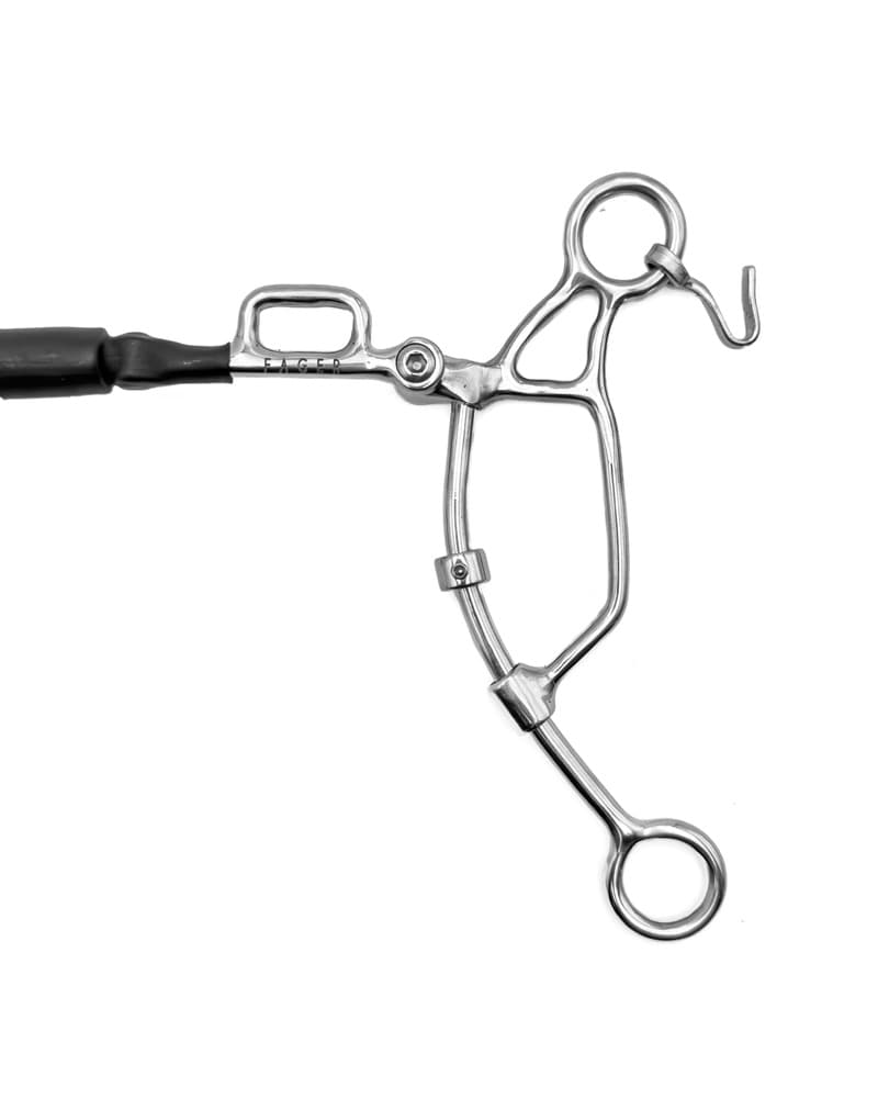 1190_12a4fba593-max_shank_long2-full