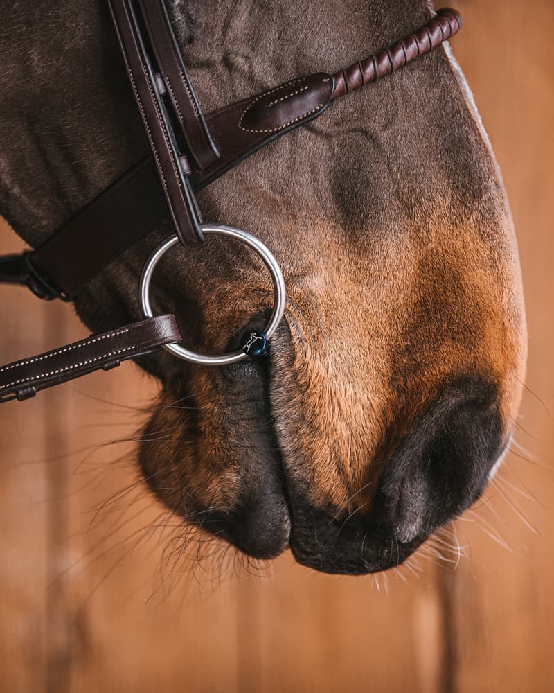 133_7d3d72264a-blue_titan_loose_ring13117705-full