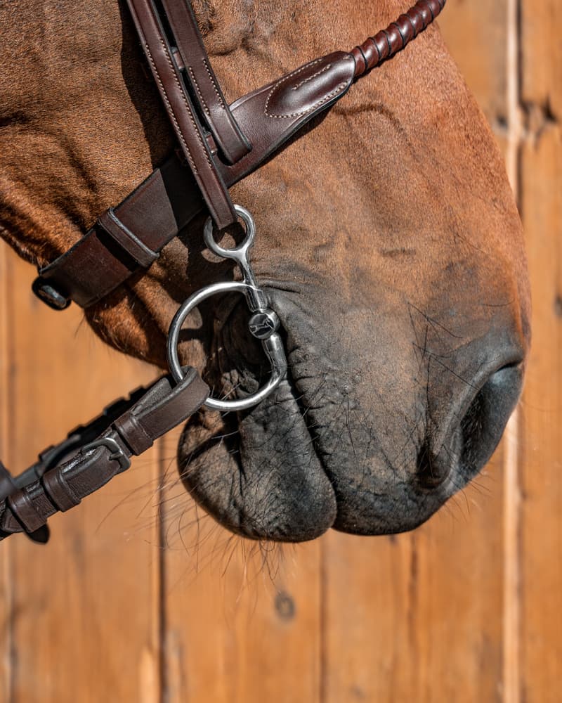 142_48c05e24dd-baucher-sweetiron2543-full