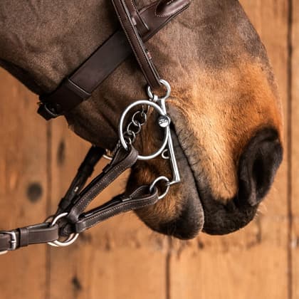 196_d9941e6242-show-pelhalm-sweetiron-3-square