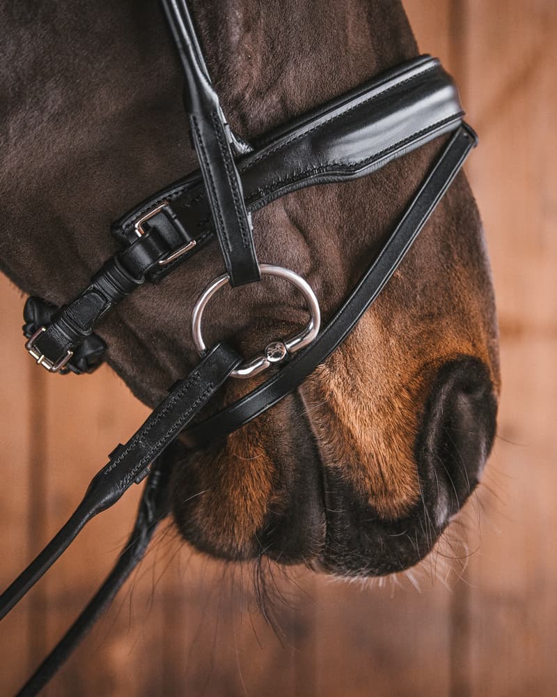 25_eac63694a2-bridoon_sweet_iron_fixed_rings579-full