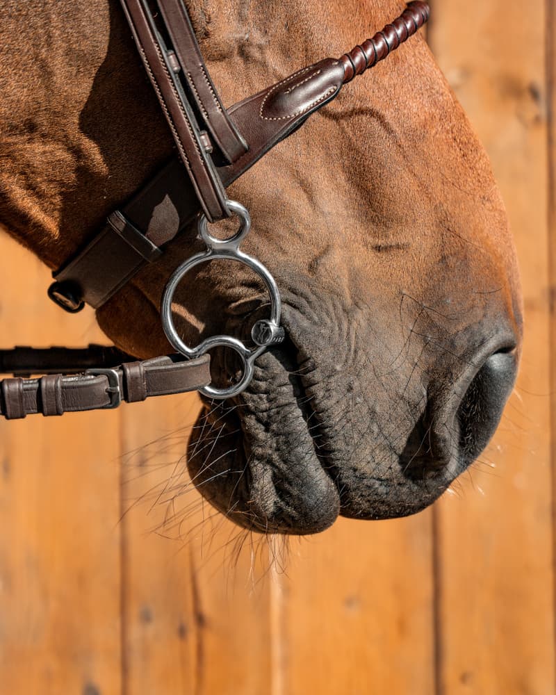 333_228d38e37b-25rings-sweetiron-238198061-full