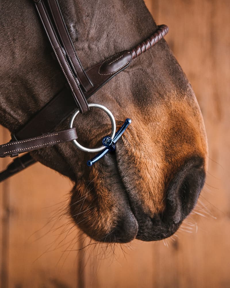 340_d392b62030-babyfulmer_titanium_blue5743-full