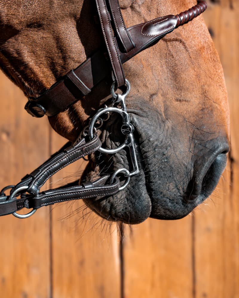 460_9a490bf919-babypelhalm-sweetiron-38069-full