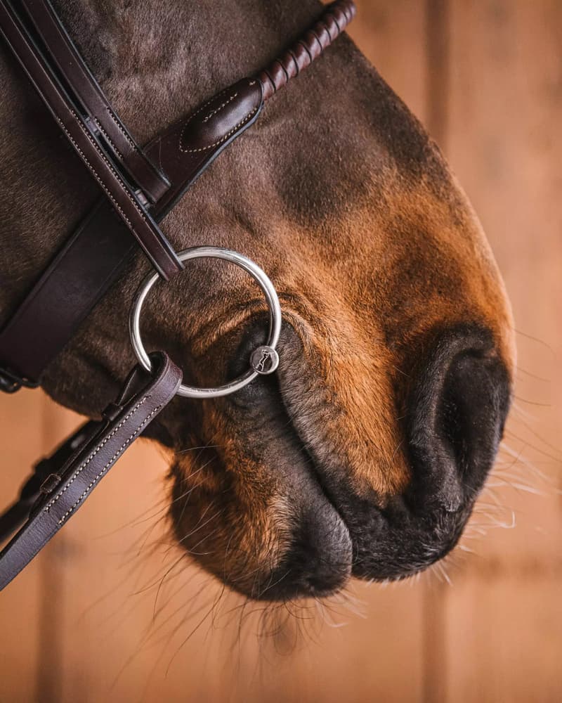 482_1705e26434-loose-rings-sweet-iron4817-full