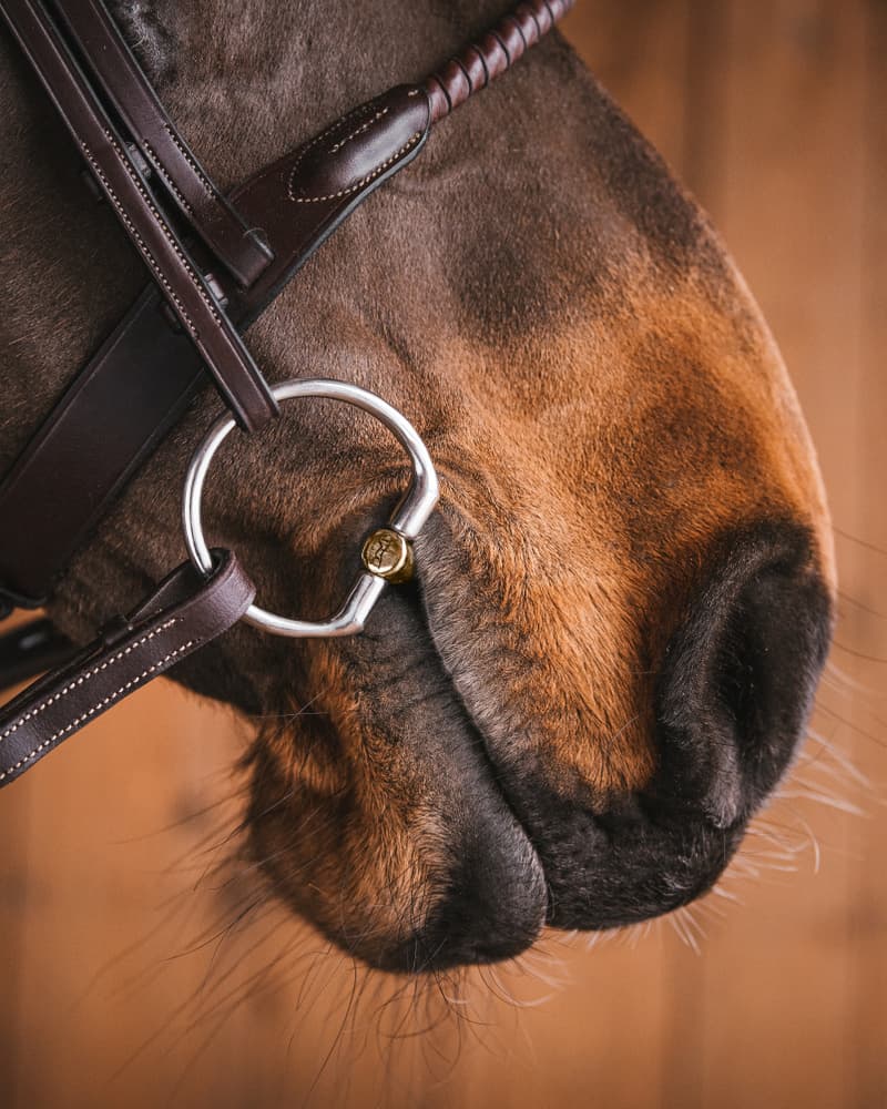 489_c11ecae294-sweet-gold-fixed-rings4674-full