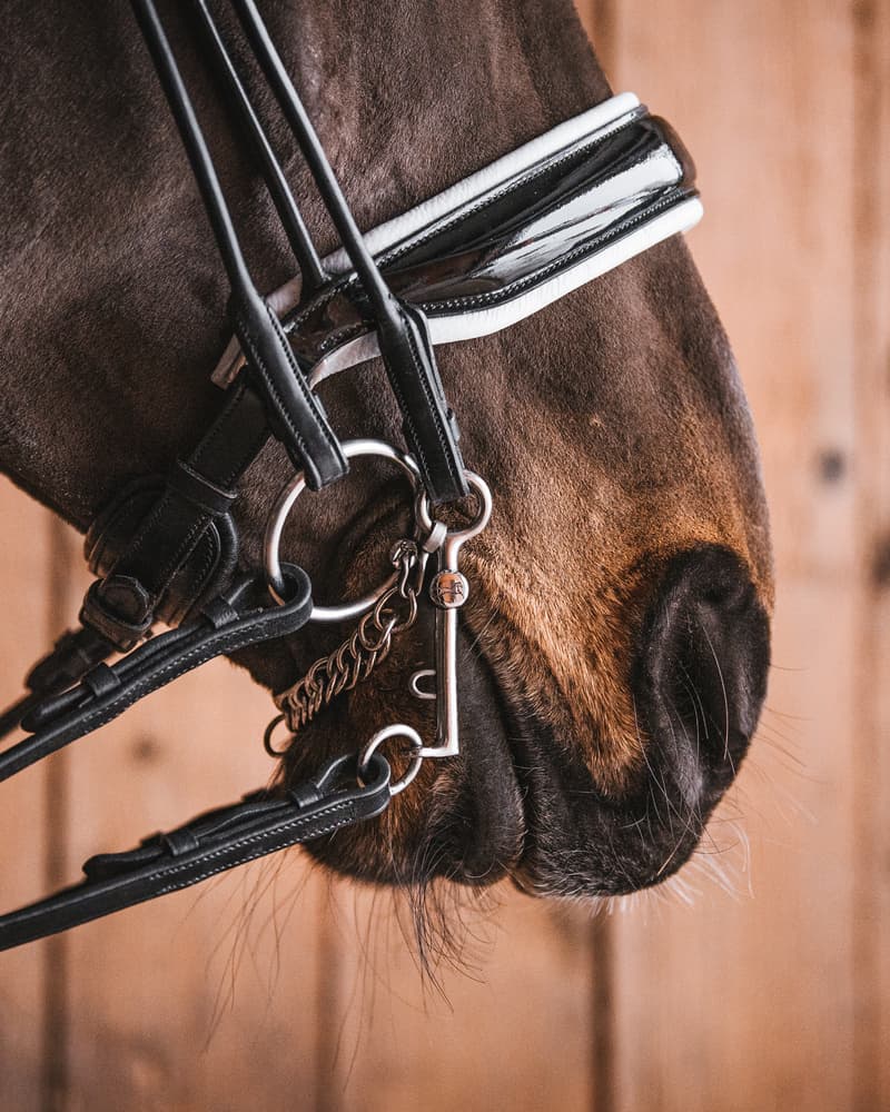 48_97cea535b8-double_bridle_loose_rings_5cm_sweet_iron2290-full