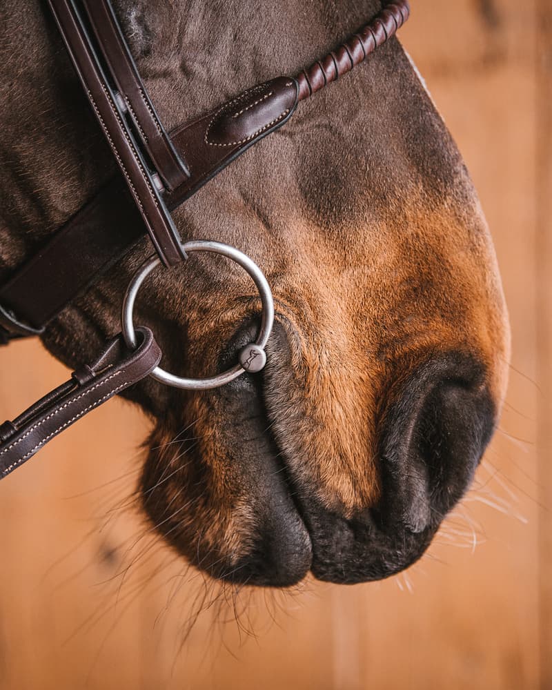 50_464464cf92-titan_loose_rings42871848151-full