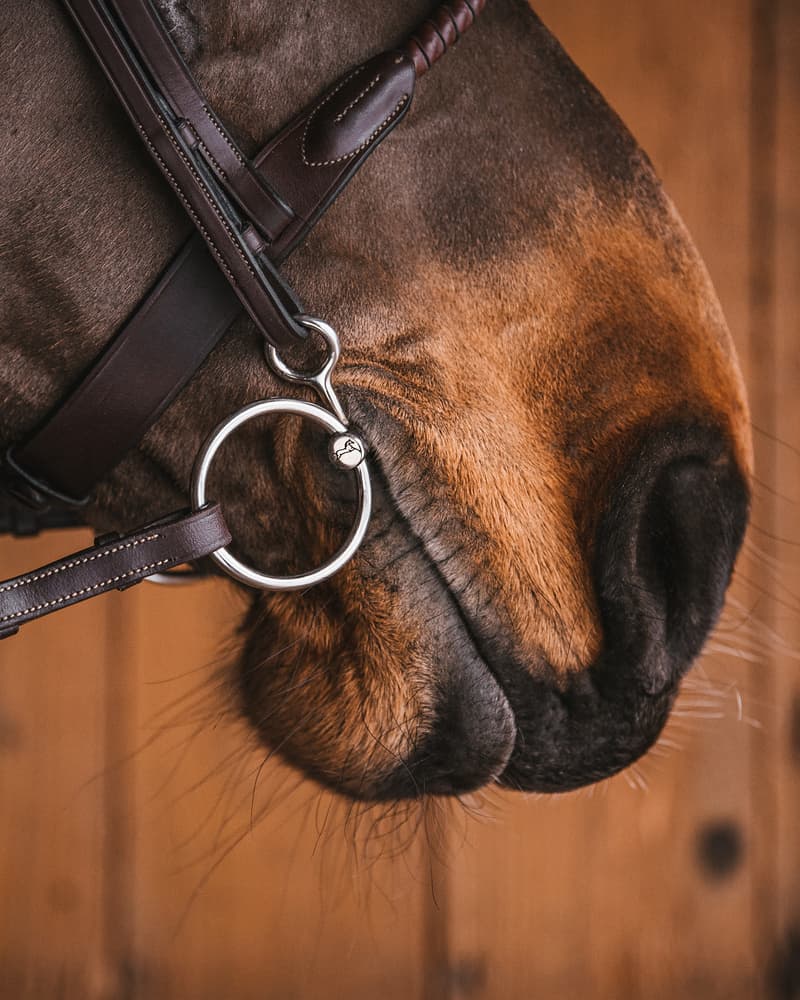 51_c11ffc412f-loose_baucher_sweet_iron355-full