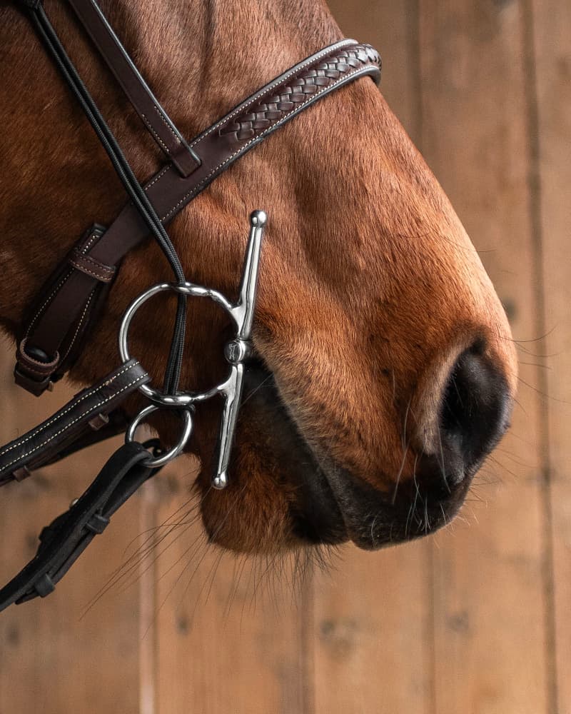 536_0f0558b091-fullcheek-gag-sweet-iron8441-full