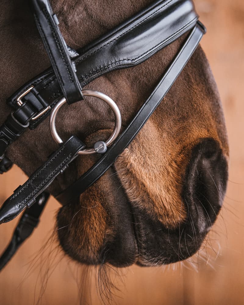 62_b8943e3d4d-bridoon_loose_rings_titan7855-full