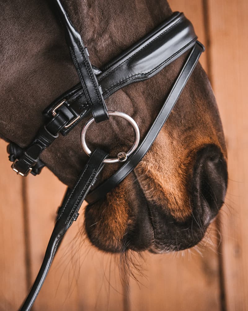 695_617fd300e1-bridoon_loose_ring_sweet_iron-full