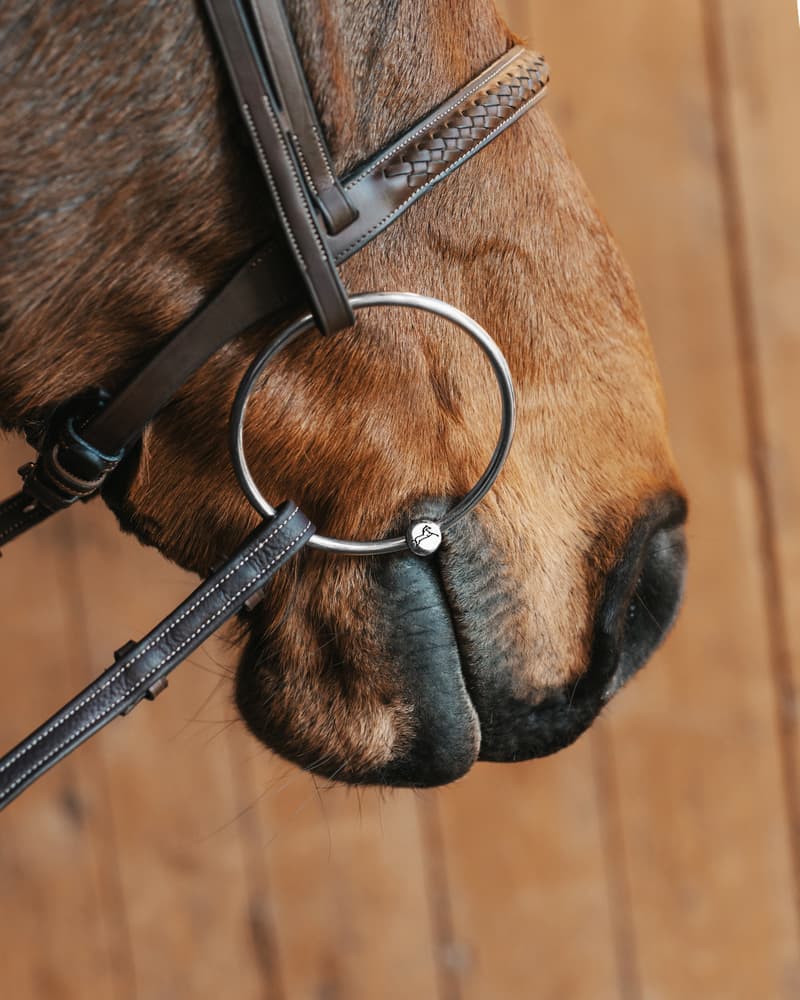 702_aa30aa6998-largelooserings_sweetiron8300-full