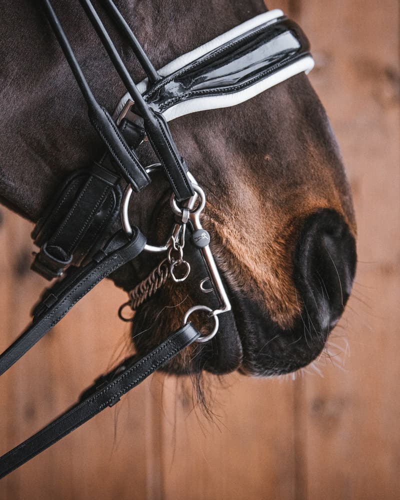 703_b603e1a2dc-weymouth_bridoon_titan27678-full