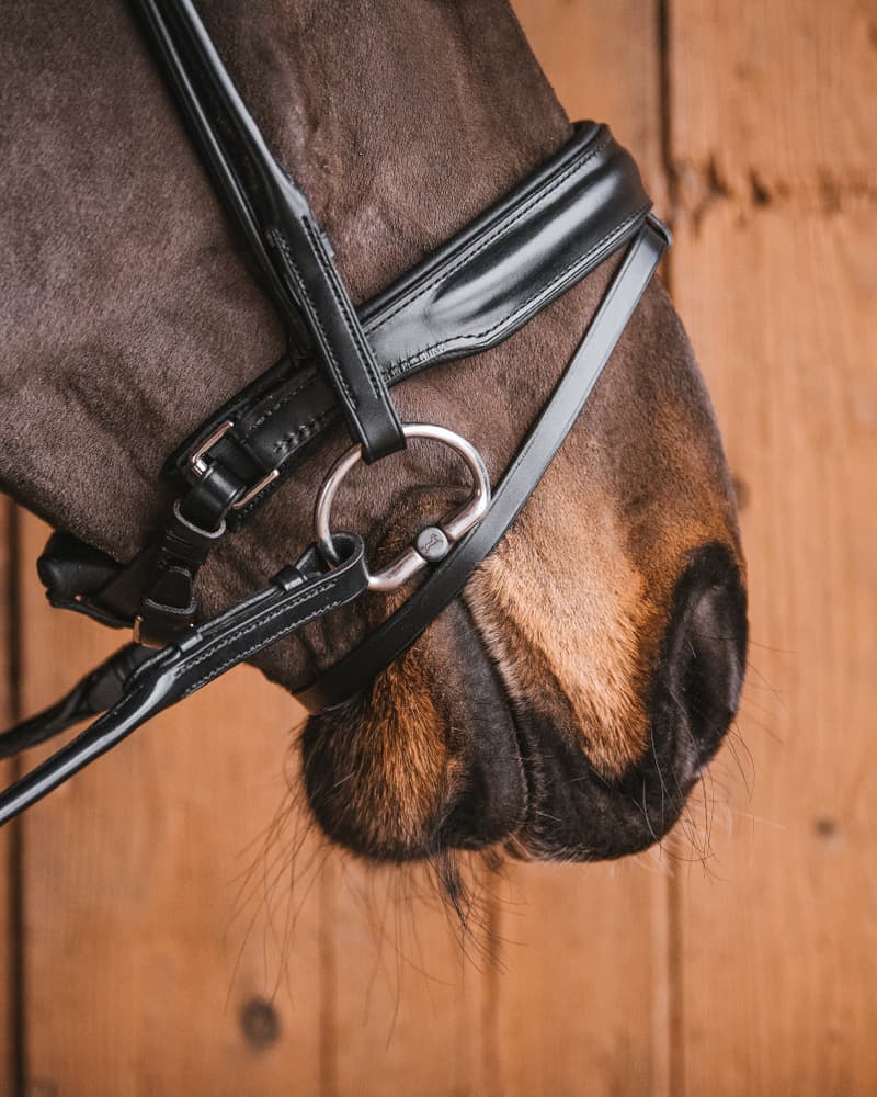 703_e2f6b6e60d-bridoon_fixed_rings_titan7677-full