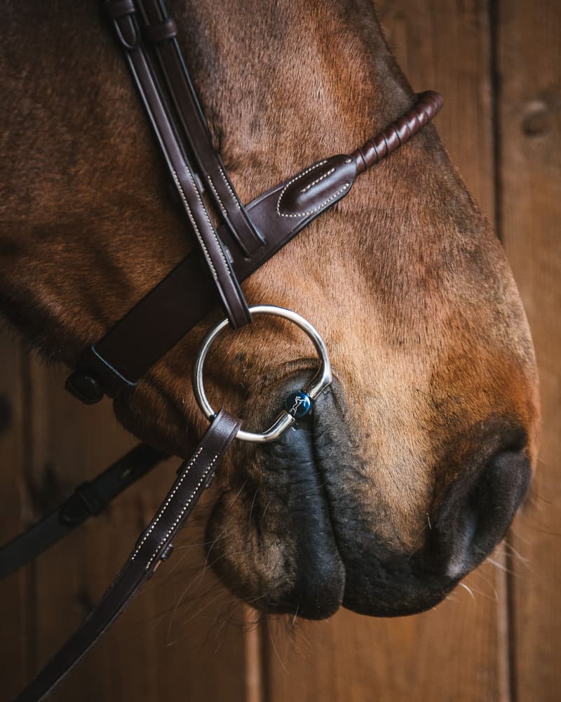 74_f4d9a0f02e-fixed_rings_blue_titanium8186-full