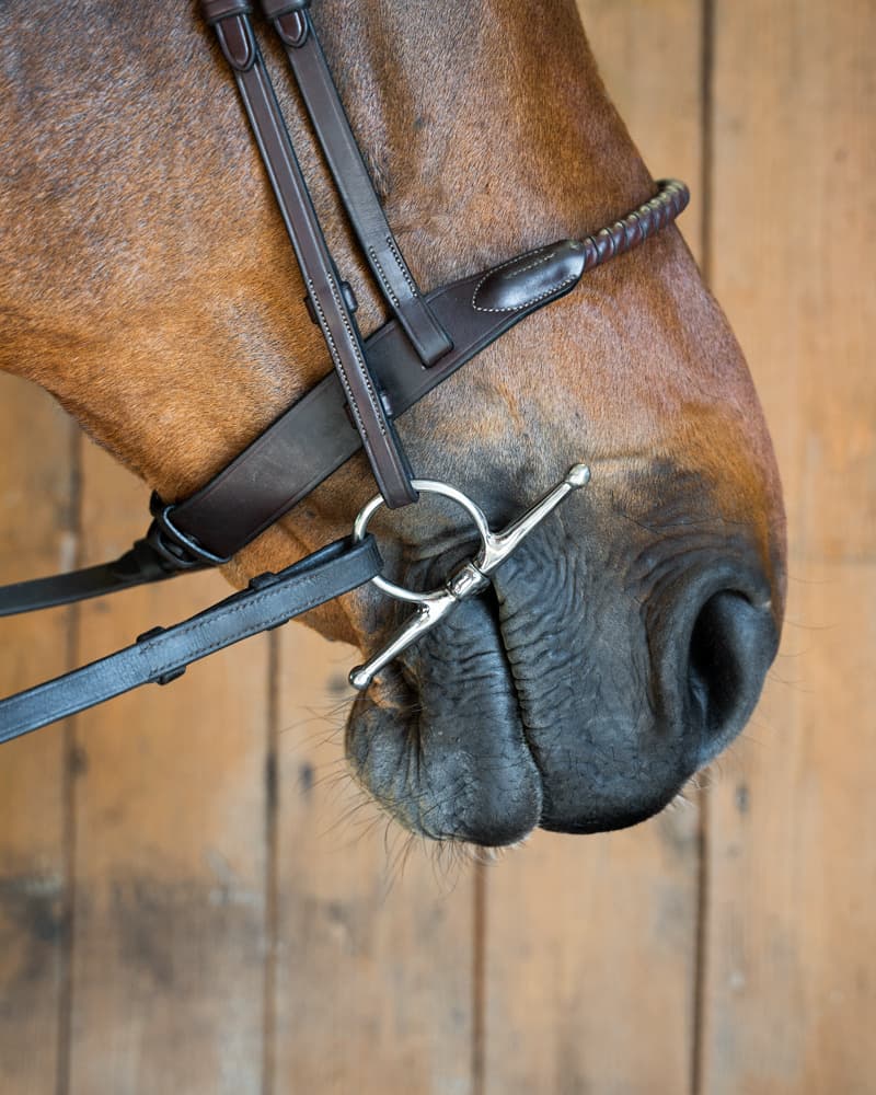 788_f0c77e9610-fullcheek_sweet_iron-17542-full