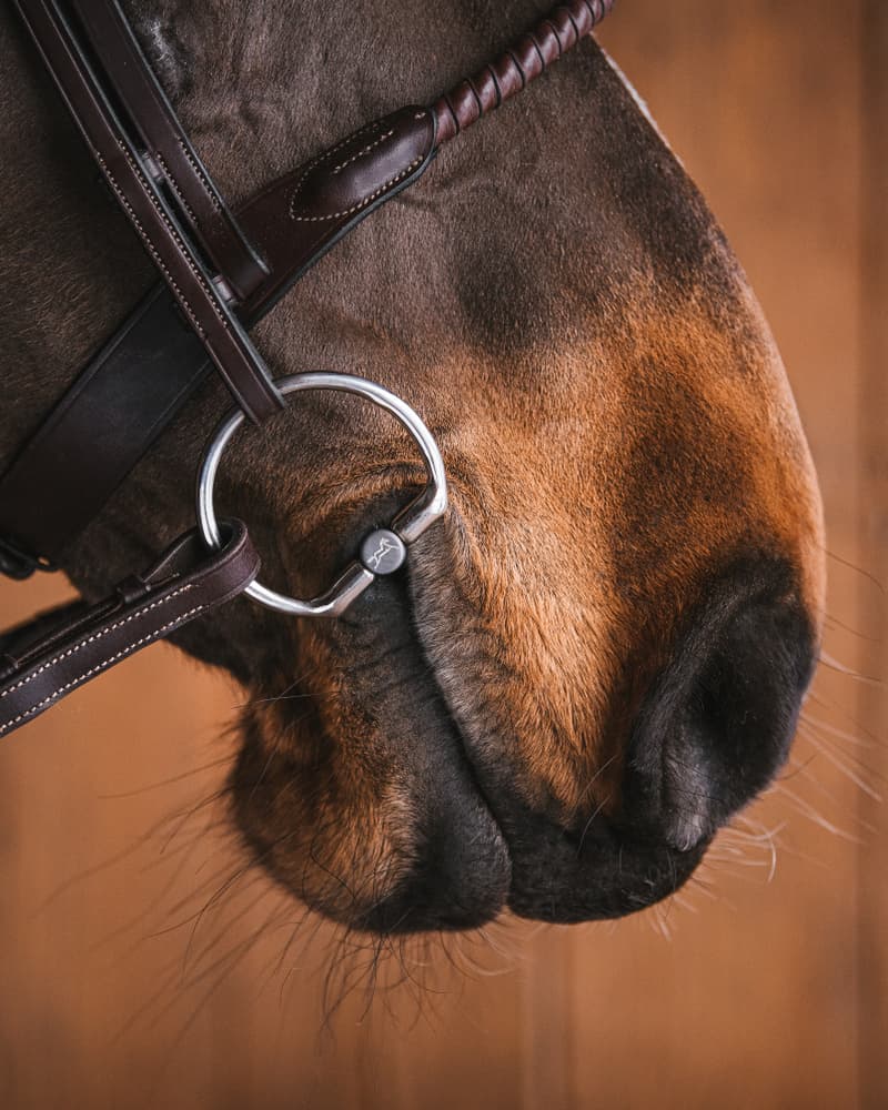 806_fd0d3140fa-titan_fixed_rings7209721572228553-full