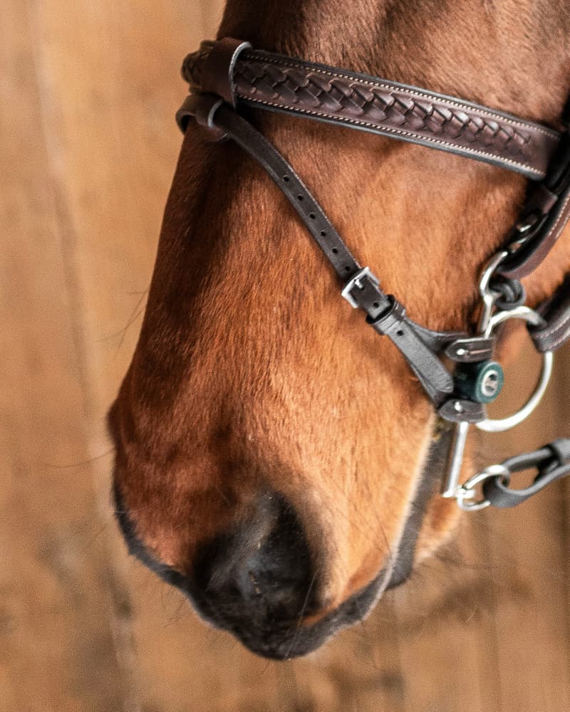 829_4af51c0753-dsc_0178-kopiera-full