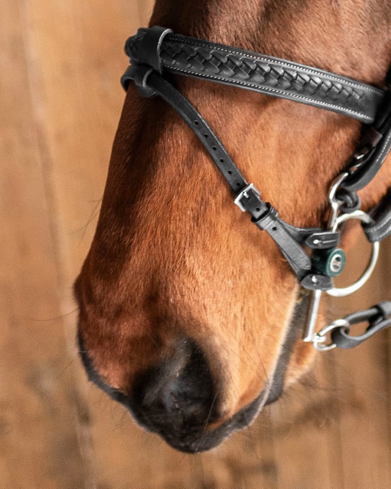 829_a086734f24-double_bitlifter_black-full