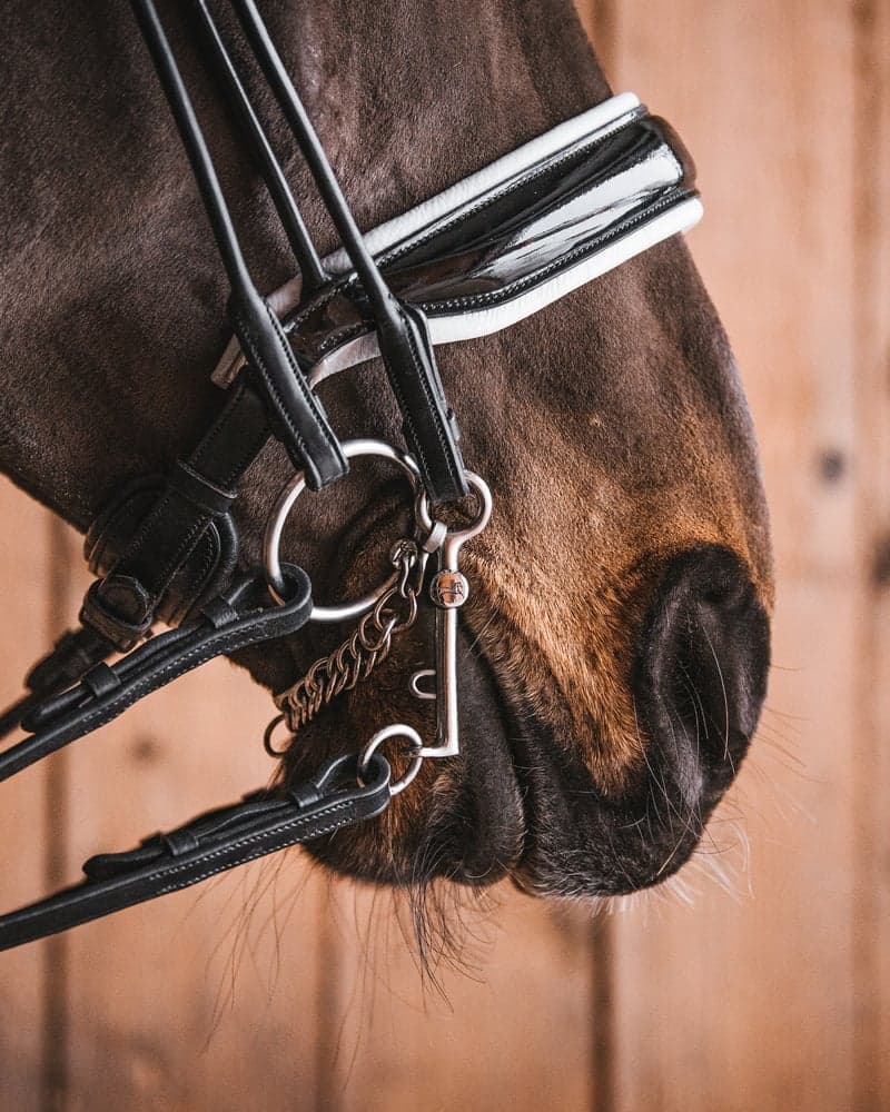 84_245ea329bd-double_bridle_loose_rings_5cm_sweet_iron1145-full